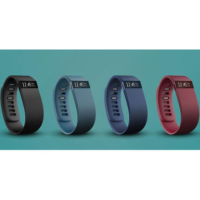 FitBit Charge Size Long