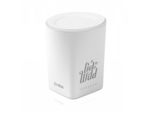BT900 Bluetooth v2.1 SBS