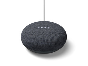 Sprecher von Google Nest Mini 2. Generation Kohle