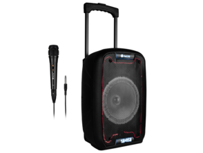 Altavoz Portátil NGS Wild Samba 30W BT/USB/MicroSD/Aux In