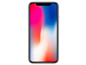 Apple iPhone X 64gb Raum grau