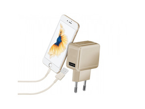 Reiseladegerät Gold Collection mit USB-Ausgang 1 mAh Gold