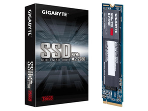 Disco Duro Gigabyte GP-GSM2NE3256GNTD SSD NVMe M. 2 256 GB 2280