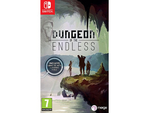 Dungeons des Endless Switch