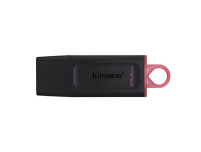 Kingston DataTraveler Exodia USB 3.2 256 GB