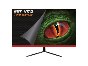 Überwachung von Gaming-LED XGM24F + Flat 23.8 ''
