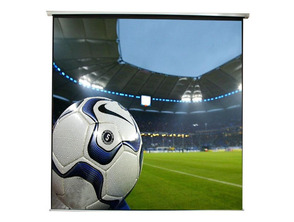 Bildwand electric CA APPP240E 240x240