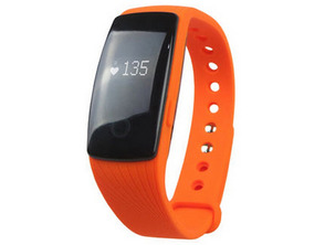 Fitness Leotec Touch Puls Orange Armband