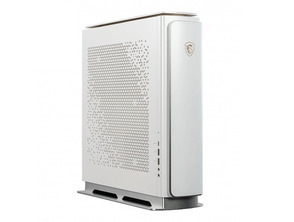 Sobremesa MSI P100X-203EU i9/64GB/1TB SSD + 4TB HDD/RTX2080S