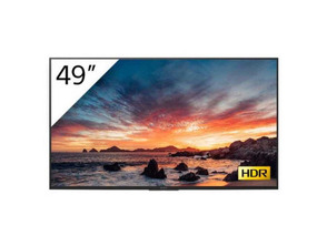 Televisor Sony Bravia FWD-49X81H/T1 49 '' 4K
