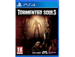 Tormentierte Seelen PS4