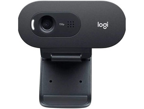 Webcam Logitech C505E 720P HD Negro