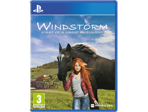 Windsturm: Start einer großen Freundschaft PS4
