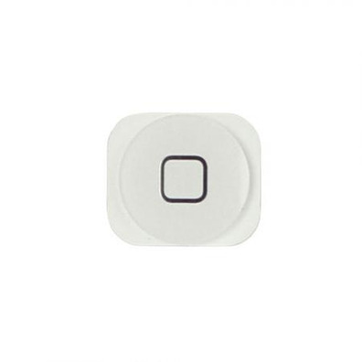 Reparatur Home Button iPhone 5 Weiss