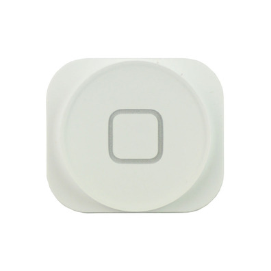 Reparatur Home Button iPhone 5 Weiss