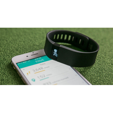 FitBit Charge Small Schwarz