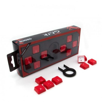 Schlüsselsatz Ozon Gripk