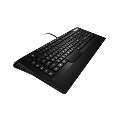 Steelseries Tastatur Apex RAW - Spanische Version -