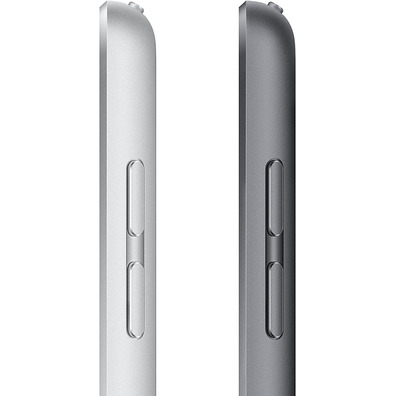 Apple iPad 10.2 2021 9 WiFi 64GB Plata MK2L3TY/A