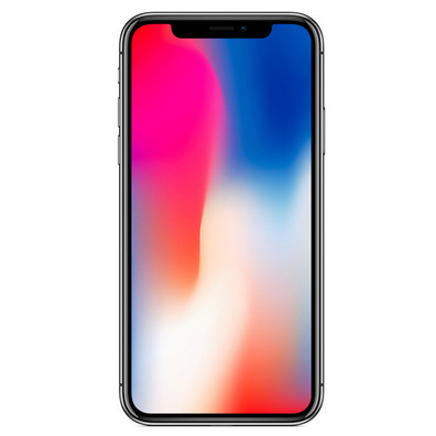 Apple iPhone X 64gb Raum grau