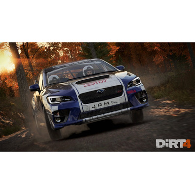 Dirt 4 PS4