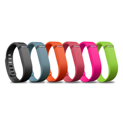 FitBit Flex Wireless Activity Sleep Band Grün