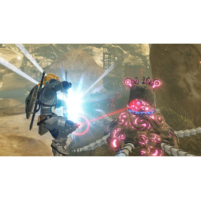 Hyrule Krieger: Das Zeitalter des Switches Cataclysm