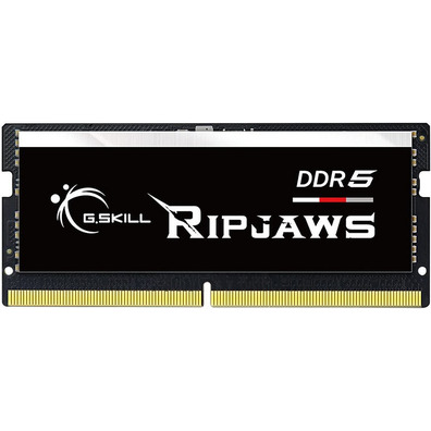 Memoria RAM G. Skill Ripbacken S/O 16GB 4800 MHz DDR5