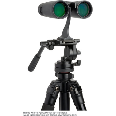 Prismático Celestron Outland X 10x42 Schwarz