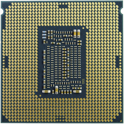 Procesador Intel Celeron G5905 3,5 GHz LGA 1200