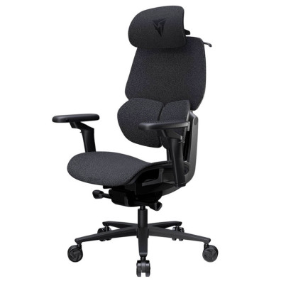 TX3 (ThunderX3) Ergonomic Gaming Chair FLEX Pro... Lofo Dunkelgrau