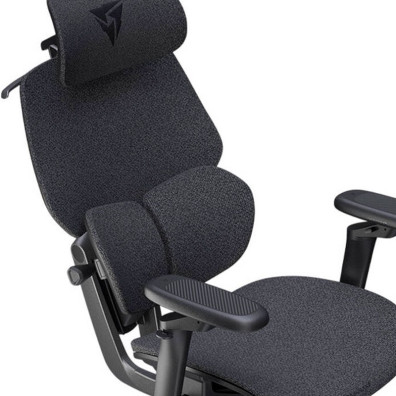 TX3 (ThunderX3) Ergonomic Gaming Chair FLEX Pro... Lofo Dunkelgrau