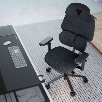 TX3 (ThunderX3) Ergonomic Gaming Chair FLEX Pro... Lofo Dunkelgrau