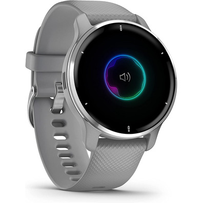Smartwatch Garmin Venu 2 Plus GPS Plata y Gris