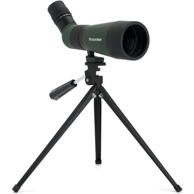 Teleskopio Terrestre Celestron LandScout 12-36x60 45º