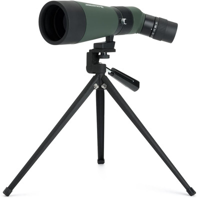 Teleskopio Terrestre Celestron LandScout 12-36x60 45º