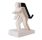 PC Stand Holder for iPhone 4G/4S (White)