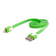 Transfer und Ladekabel für iPhone 5 Grün