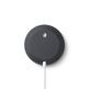 Sprecher von Google Nest Mini 2. Generation Kohle
