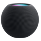 Altavoz Inteligente Apple HomePod mini Gris Espacial