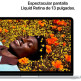 Apple Macbook Neo (2026) 13" A18 Pro 8GB RAM 256GB SSD Silber