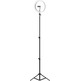 Aro de Luz Profesional Mars Gaming MGRING 10.2 ''