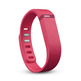 FitBit Flex Wireless Activity Sleep Band Grün