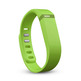 FitBit Flex Wireless Activity Sleep Band Rot