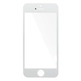 Front Glass for iPhone 5S Schwarz