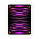 iPad Pro 2022 12,9 '' M2 2 TB Wi-Fi + Gris espacial