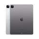 iPad Pro 2022 12,9 '' M2 2 TB Wi-Fi + Gris espacial