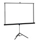 Leinwand mit Stativ iggual PSITS180 180x180