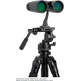 Prismático Celestron Outland X 10x42 Schwarz