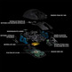 Ratón Gaming Inalámbrico Logitech G Pro 25600 DPI